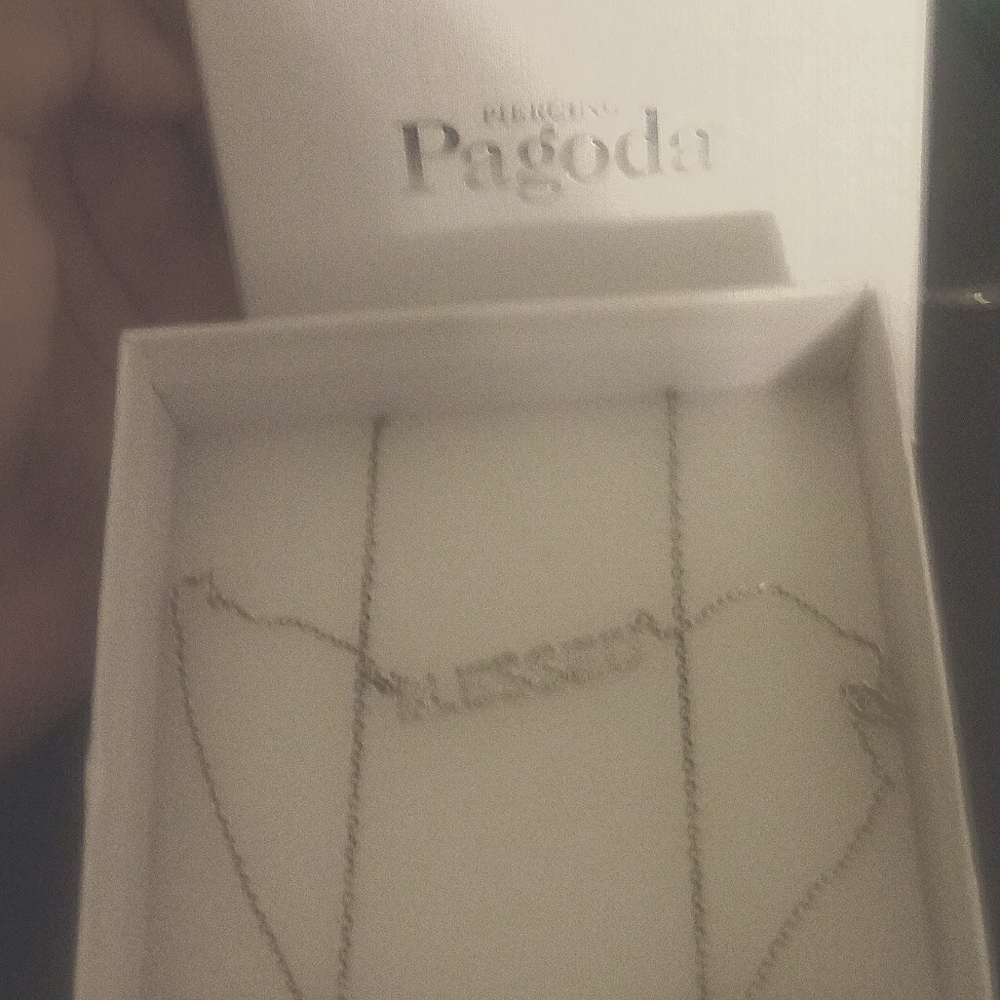 I'm selling this necklace from my ex and it's from piercing pagonda
